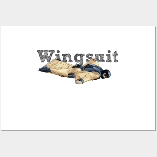 Wingsuit Posters and Art